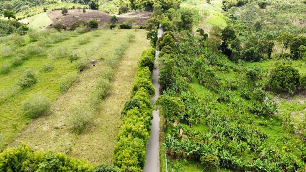 Finca Quimbaya Quindio piscina Finca familiar descanso paisaje cafetero finca tipica campesina alquiler por dias finca cerca del parque de los arrieros parque del cafe Panaca juegos niños cómodas habitaciones Amplios baños Via pavimentada