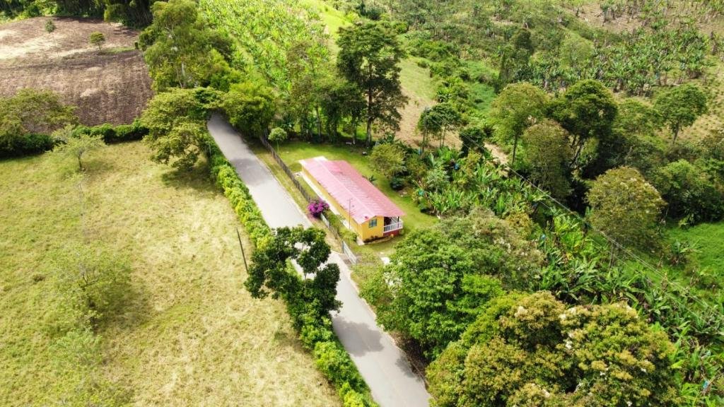 Finca Quimbaya Quindio piscina Finca familiar descanso paisaje cafetero finca tipica campesina alquiler por dias finca cerca del parque de los arrieros parque del cafe Panaca juegos niños cómodas habitaciones Amplios baños