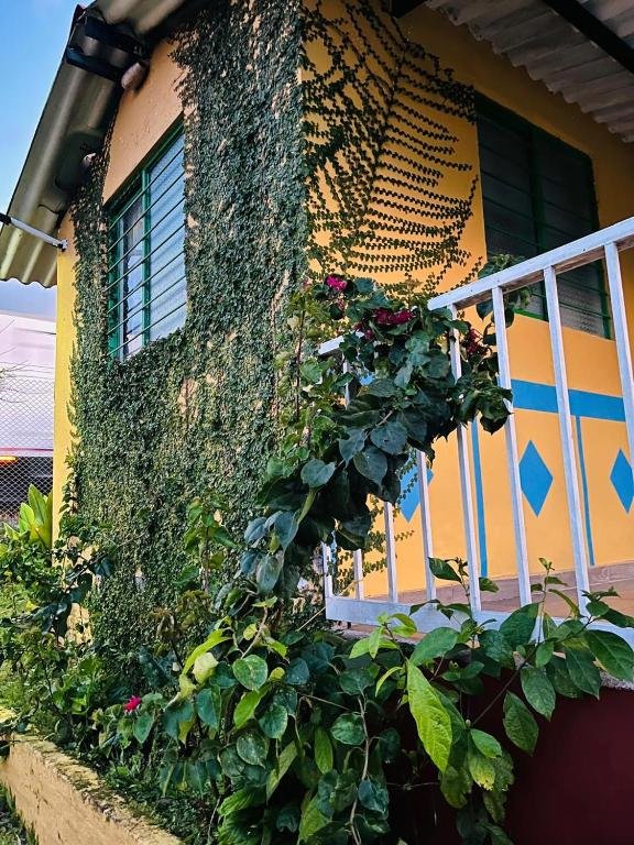 Exteriores-naturaleza